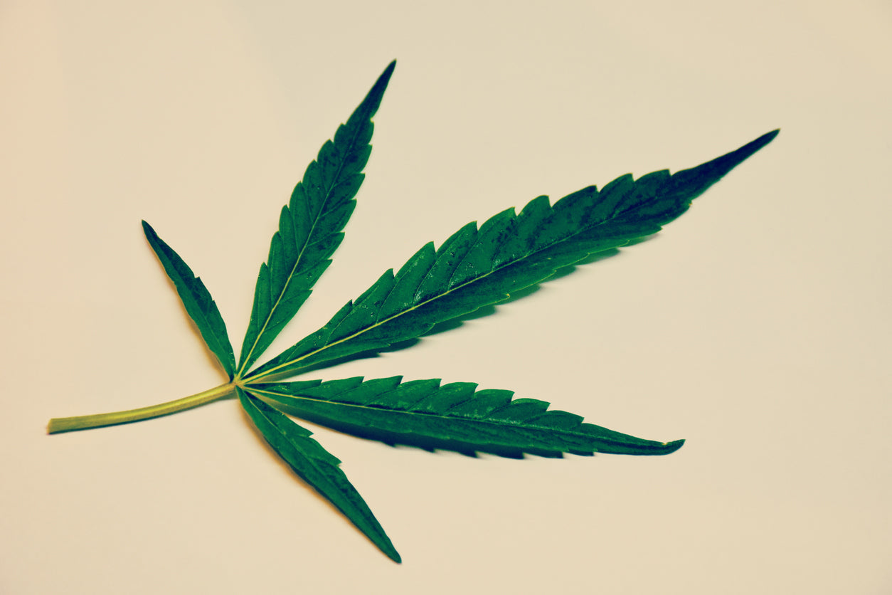 "Unlock the Best Scientific Developments with Locally Sourced Hemp for Skin and Body Care Products"